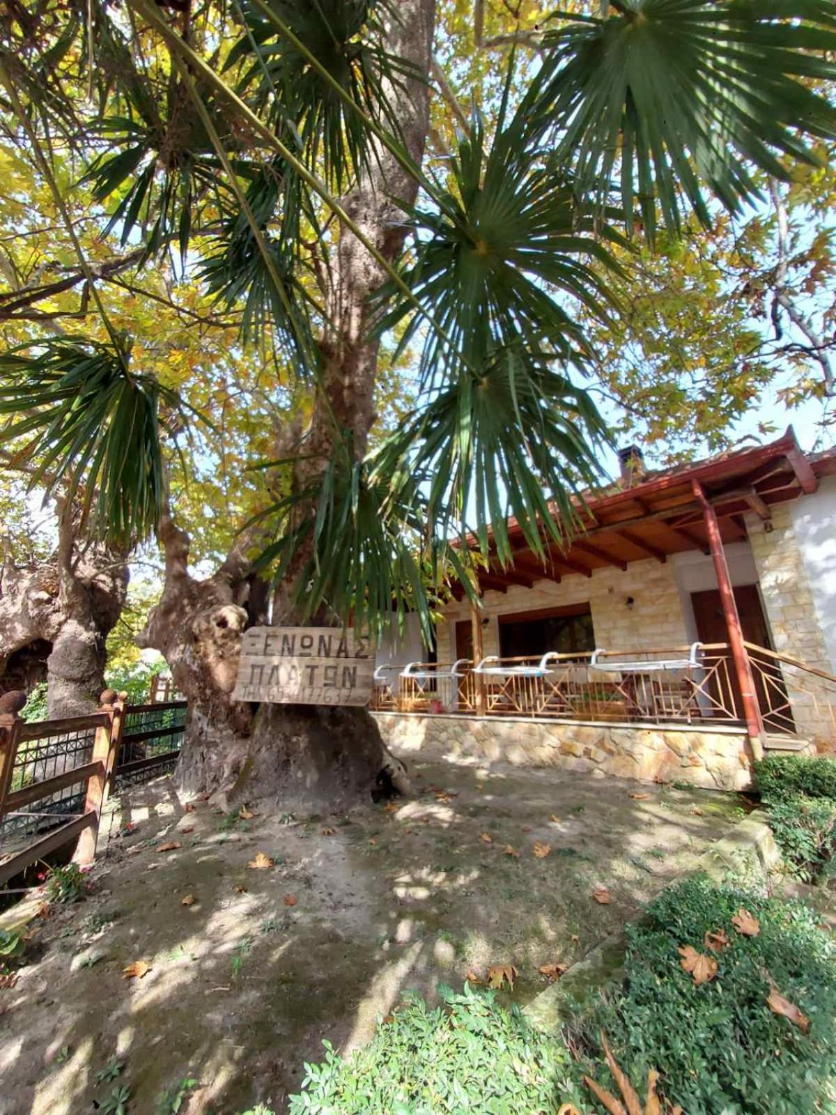 Guesthouse Platon Órma Esterno foto