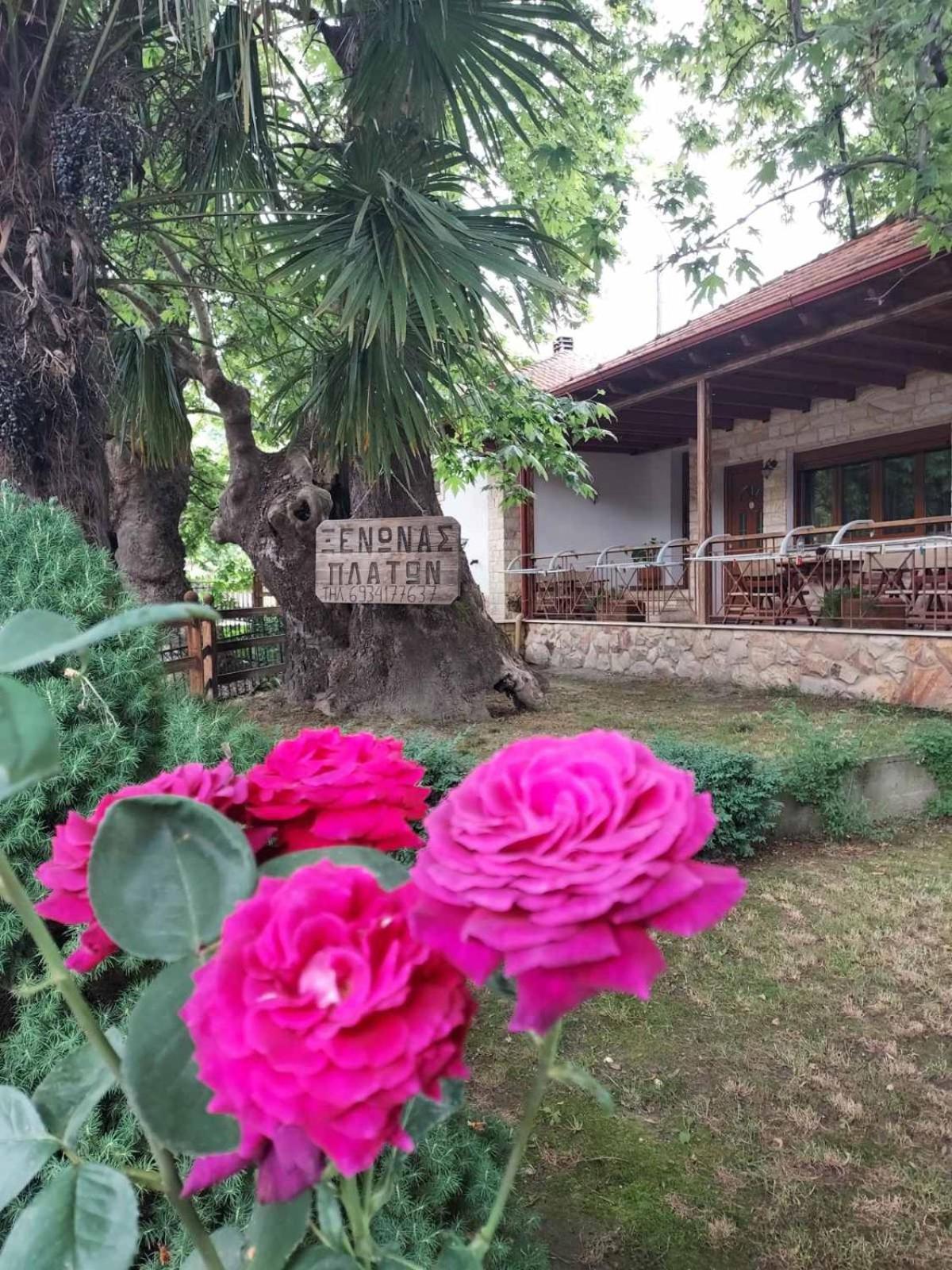Guesthouse Platon Órma Esterno foto