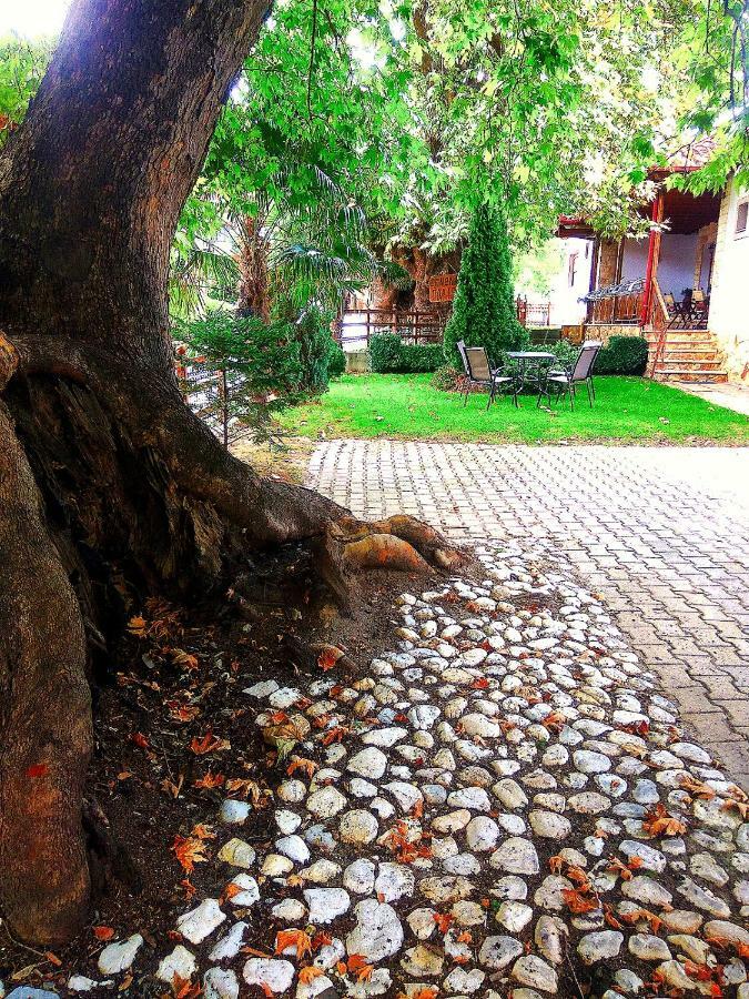 Guesthouse Platon Órma Esterno foto